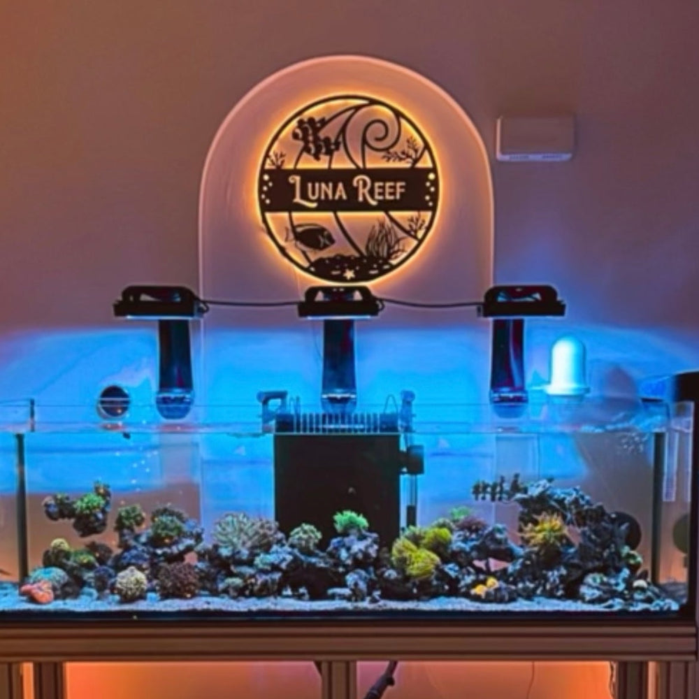 Dream Lights PRO LED Light Kit